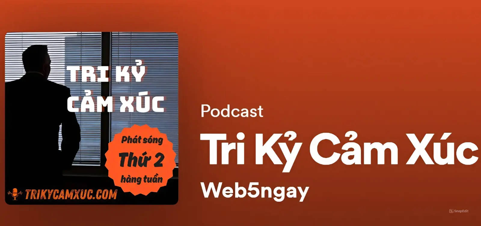 Tri kỷ cảm xúc Podcast (Ảnh Internet)