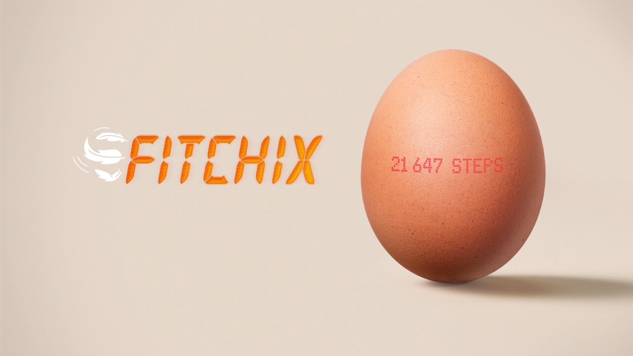 Số bước chân được in lên trứng gà | Nguồn ảnh: Honest Egg Co